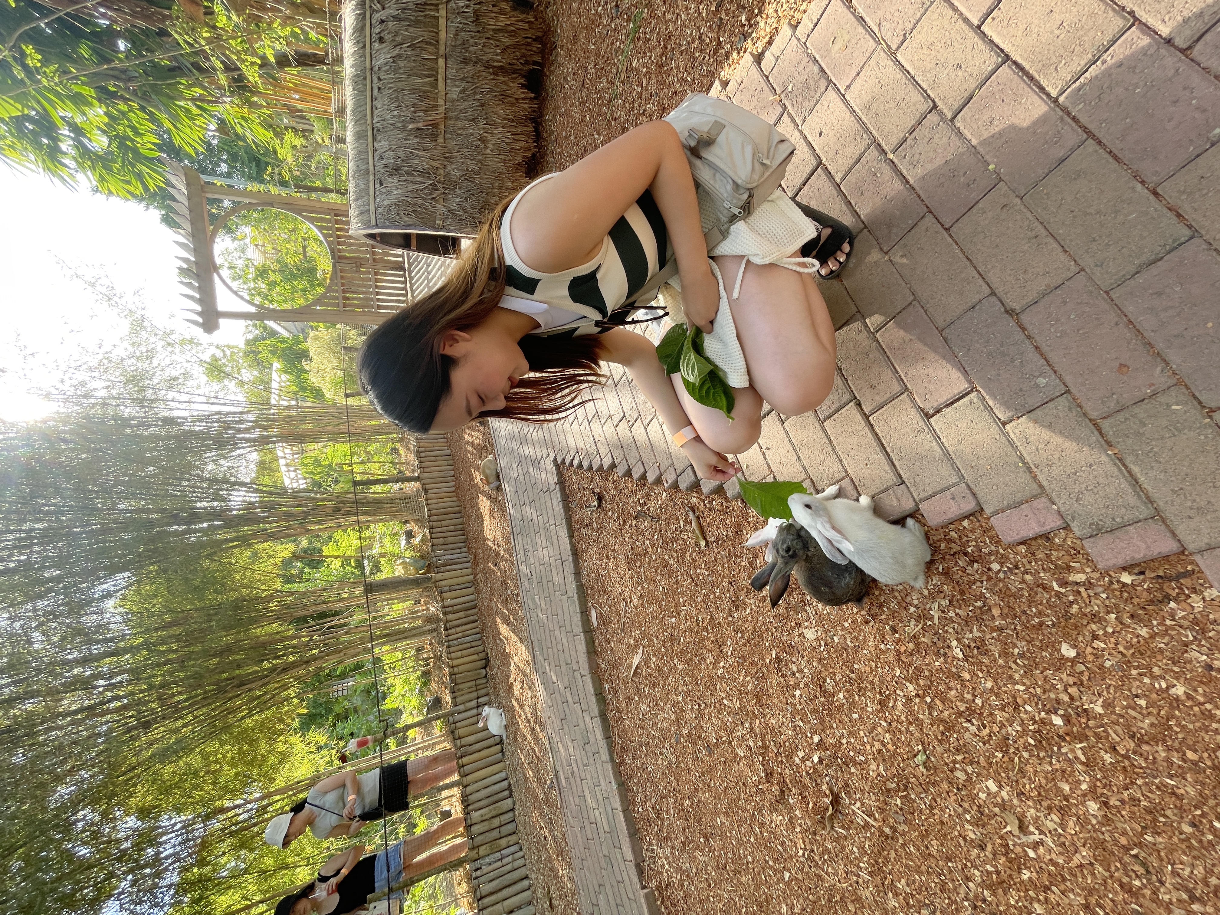 Kyochon Chicken is a well-known Korean fried chicken restaurant